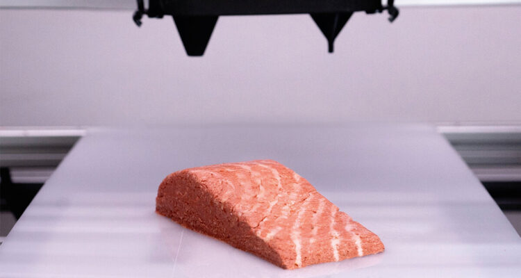 THE FILET - Revo Foods