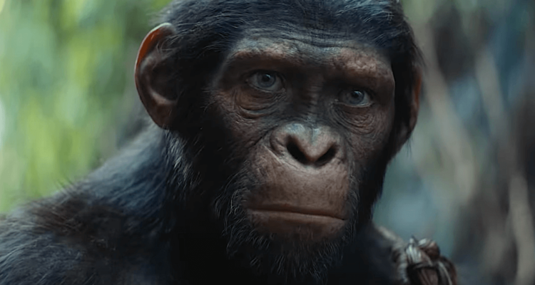 Kingdom of the Planet of the Apes
